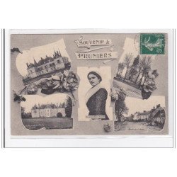 PRUNIERS : souvenir de pruniers - tres bon etat