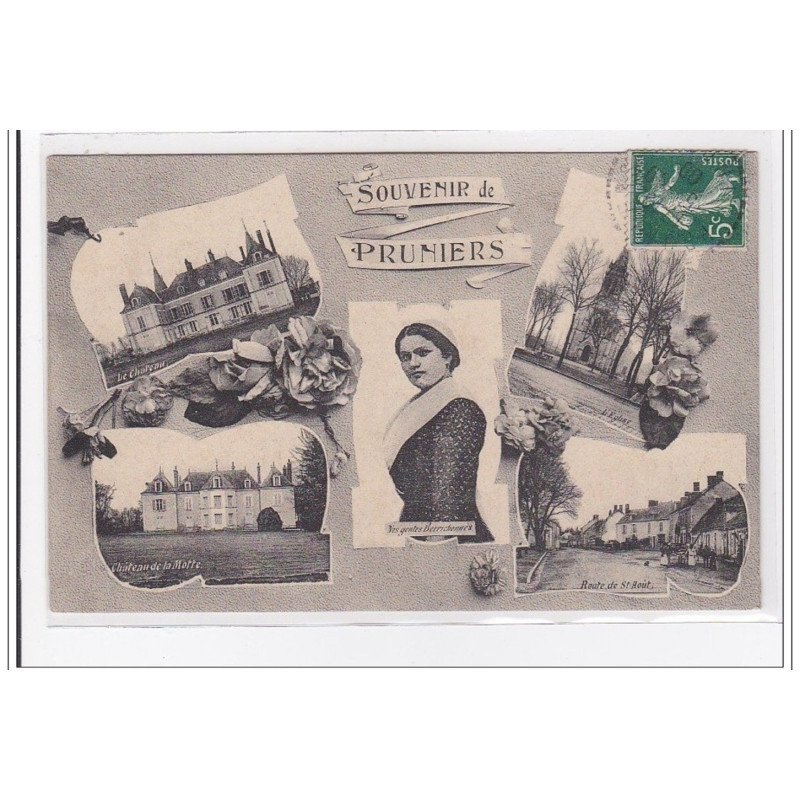 PRUNIERS : souvenir de pruniers - tres bon etat