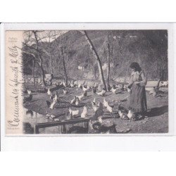 SUISSE: TESSIN: pollajo ticinese, tessiner hÂÂ¨hnerhof, femme avec poules - très bon état