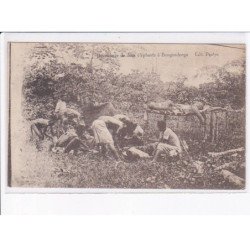 CONGO: BONGANDANGA: découpage de deux éléphants, chasse - état