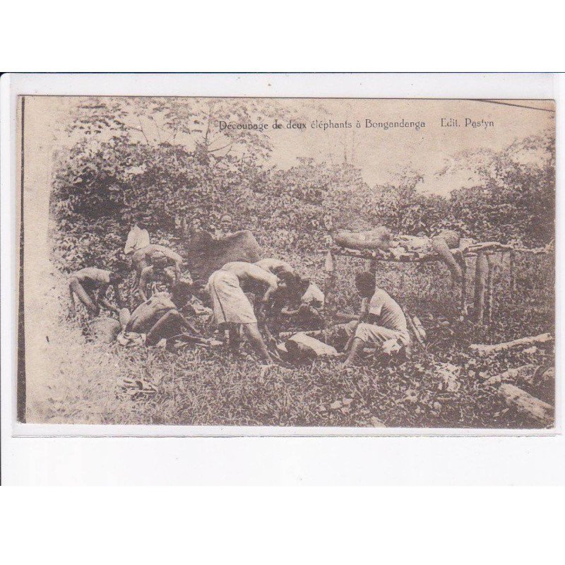 CONGO: BONGANDANGA: découpage de deux éléphants, chasse - état