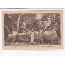 COTE D'IVOIRE: les plus beaux bois, acajou, bille au traçage pour être équarrie à la hache - très bon état