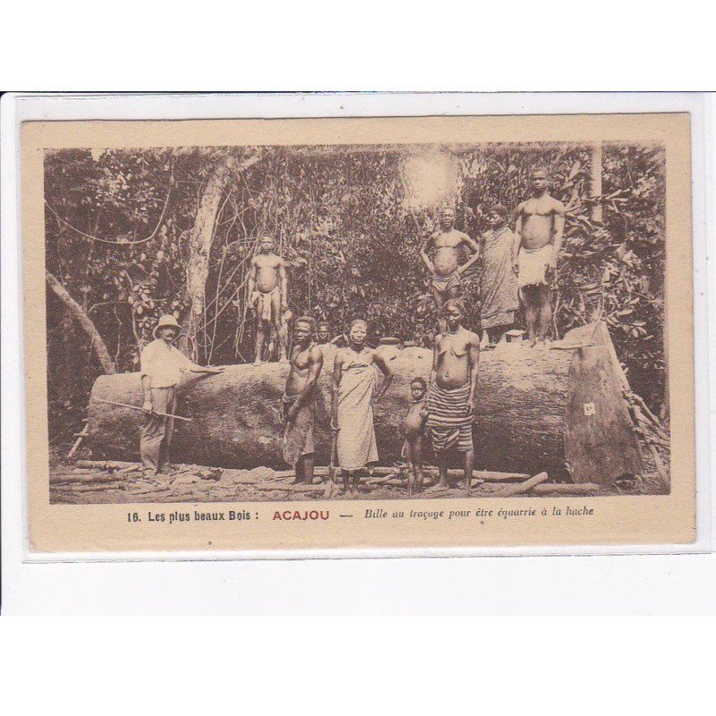 COTE D'IVOIRE: les plus beaux bois, acajou, bille au traçage pour être équarrie à la hache - très bon état