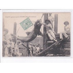 NOUVELLE-CALEDONIE: NOUMEA: requin capturé au port de nouméa - très bon état