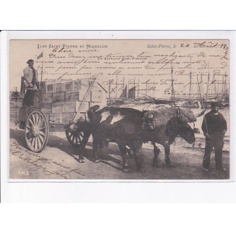SAINT-PIERRE-et-MIQUELON: saint-pierre, attelage - état