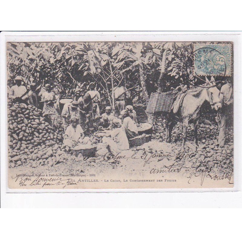 MARTINIQUE: les antilles, le cacao, le concassement des fruits - très bon état