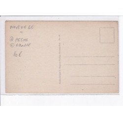 NORVEGE: pêche, chasse, fangst fra ishavet - très bon état