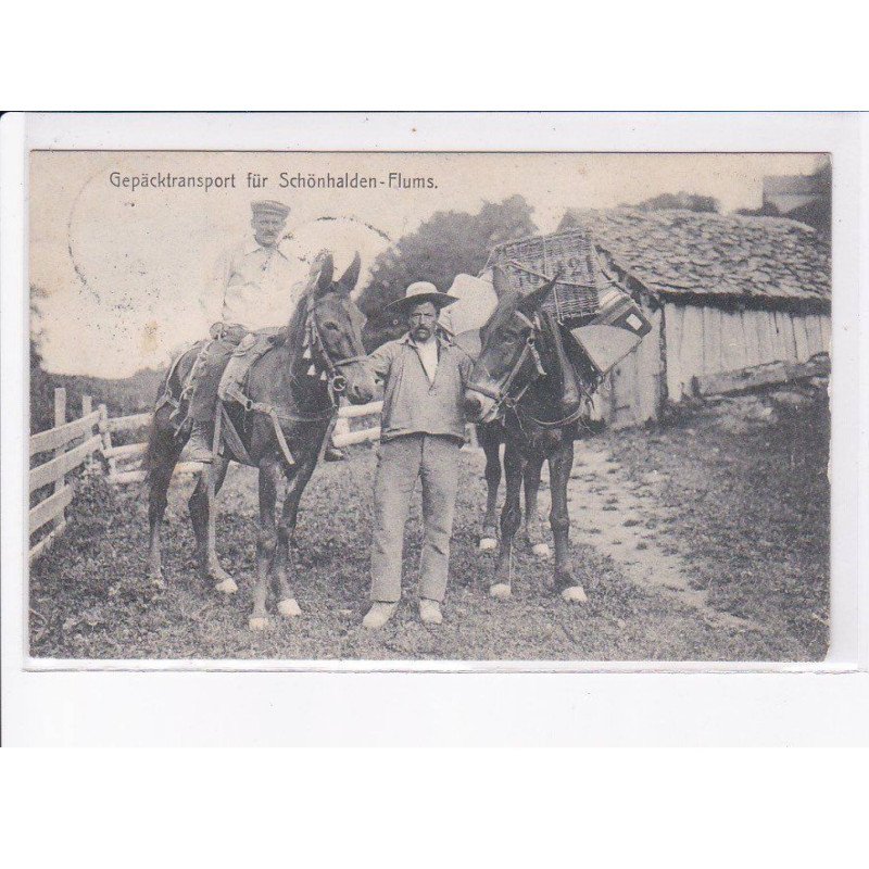 SUISSE: SAINT-GALL: gepäcktransport für schönhalden-flums, chevaux - état