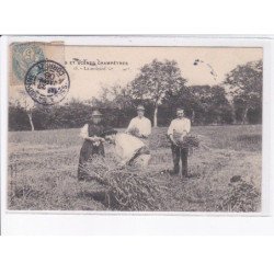 CORREZE: la moisson, types - état