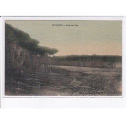 LIBAN: BEYROUTH: forêt des pins - très bon état