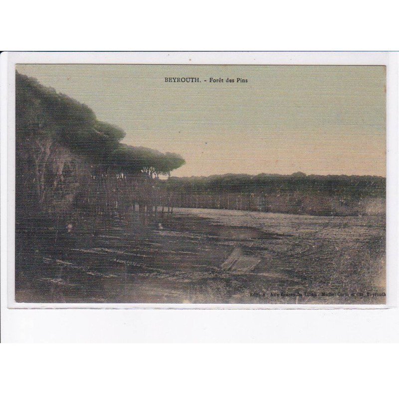 LIBAN: BEYROUTH: forêt des pins - très bon état