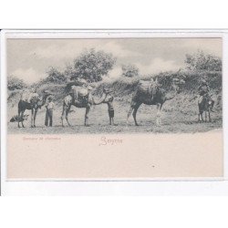 TURQUIE: SMYRNE: caravane de chameaux - très bon état