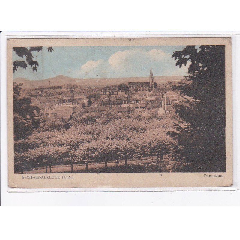 LUXEMBOURG: ESCH-sur-ALZETTE: panorama - très bon état
