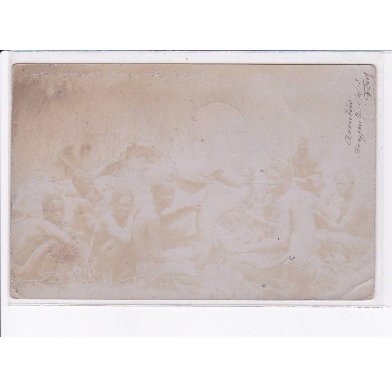 CONGO: depecement d'un éléphant, chasse - état