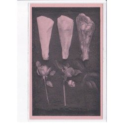 LA CARTE SURREALISTE: série complète de 21 CPA (Man Ray, Picasso, Magritte, etc... - très bon état