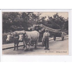 SEMUR: attelage de boeufs - très bon état