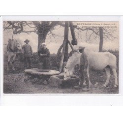 COTE D'ARMOR: puits à balancier et abreuvoir - très bon état