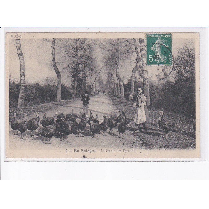 LOIR ET CHER: en sologne, la garde des dindonds - très bon état