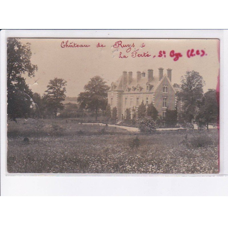 LA FERTE-SAINT-CYR: château de ruys - état