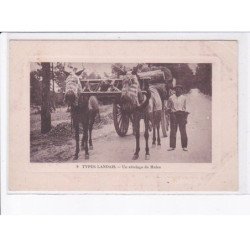 LANDES: un attelage de mules - état