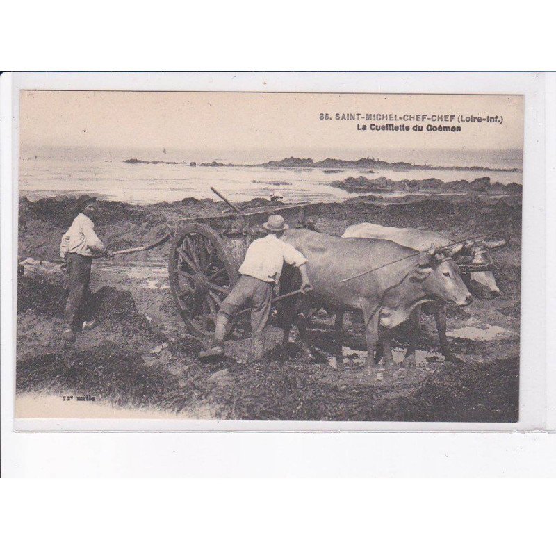 SAINT-MICHEL-CHEF-CHEF: la cueillette du goémon, attelage - très bon état