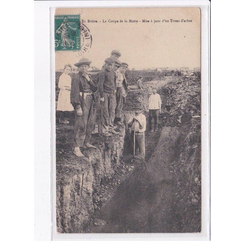 LOIRE ATLANTIQUE: la coupe de la motte, mise à jour d'un tronc d'arbre - état