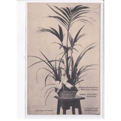 NANTES: hentia-forsteriana et bilbergia nutans gaëtan chaignon floriculteur - état