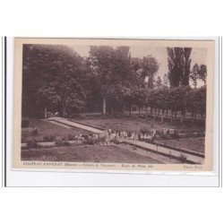 CHATEAU-D'AVENAY : colonie de vacances, ecole de plein air - tres bon etat