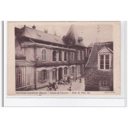 CHATEAU-D'AVENAY : coloni de vacances, ecole de plein air - tres bon etat