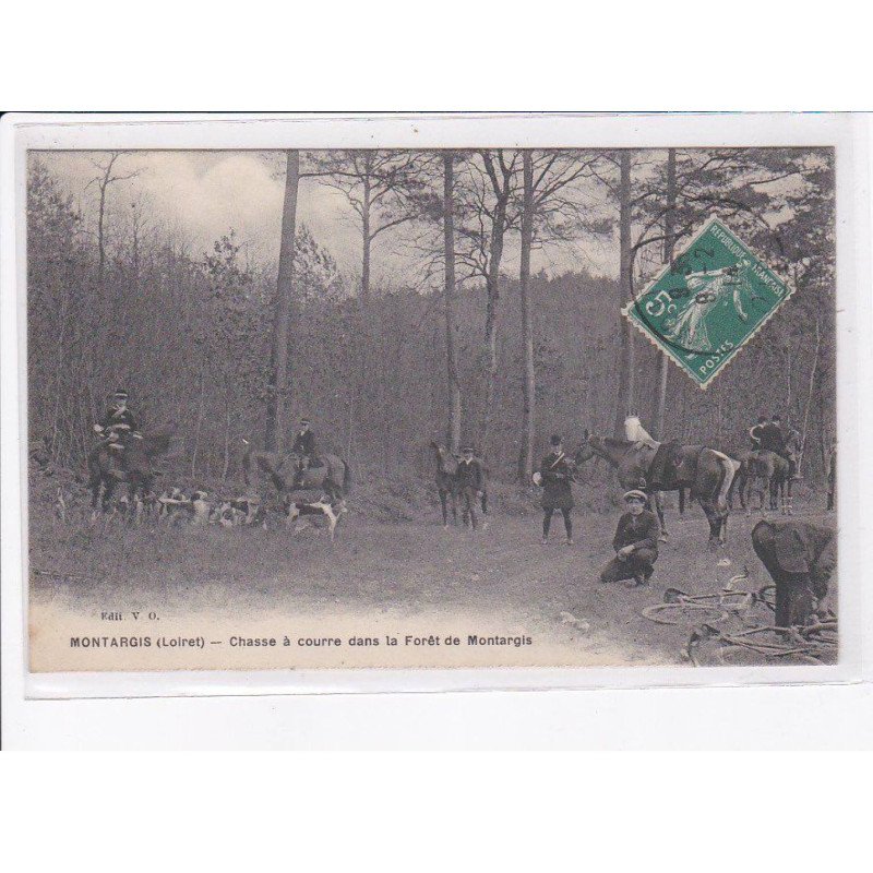MONTARGIS: chasse à courre dans la forêt de montargis - très bon état