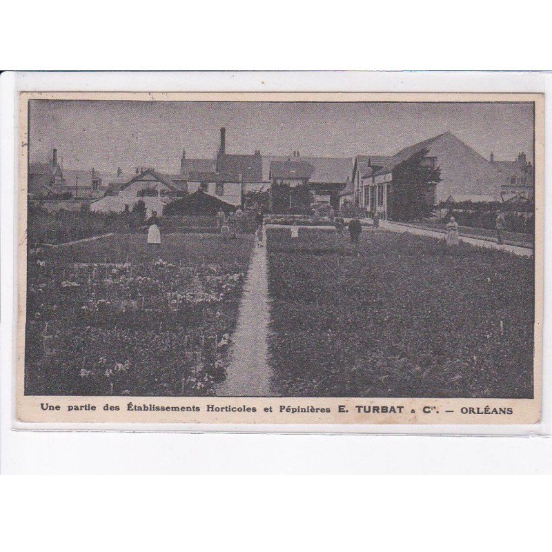 ORLEANS: une partie des établissements horticoles et pépinières E. Turbat - très bon état