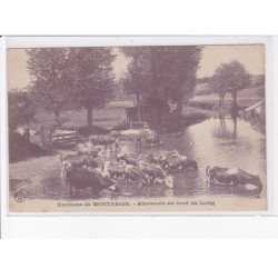 LOIRET: environs de montargis, abreuvoir au bord du loing - très bon état