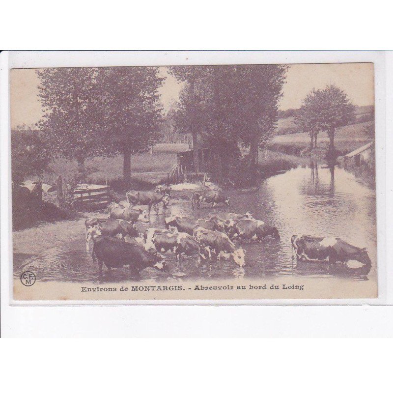 LOIRET: environs de montargis, abreuvoir au bord du loing - très bon état