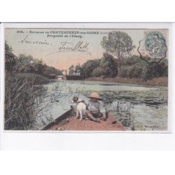 LOIRET: environs chateauneuf-sur-loire, propriété de l'étang, chien - très bon état