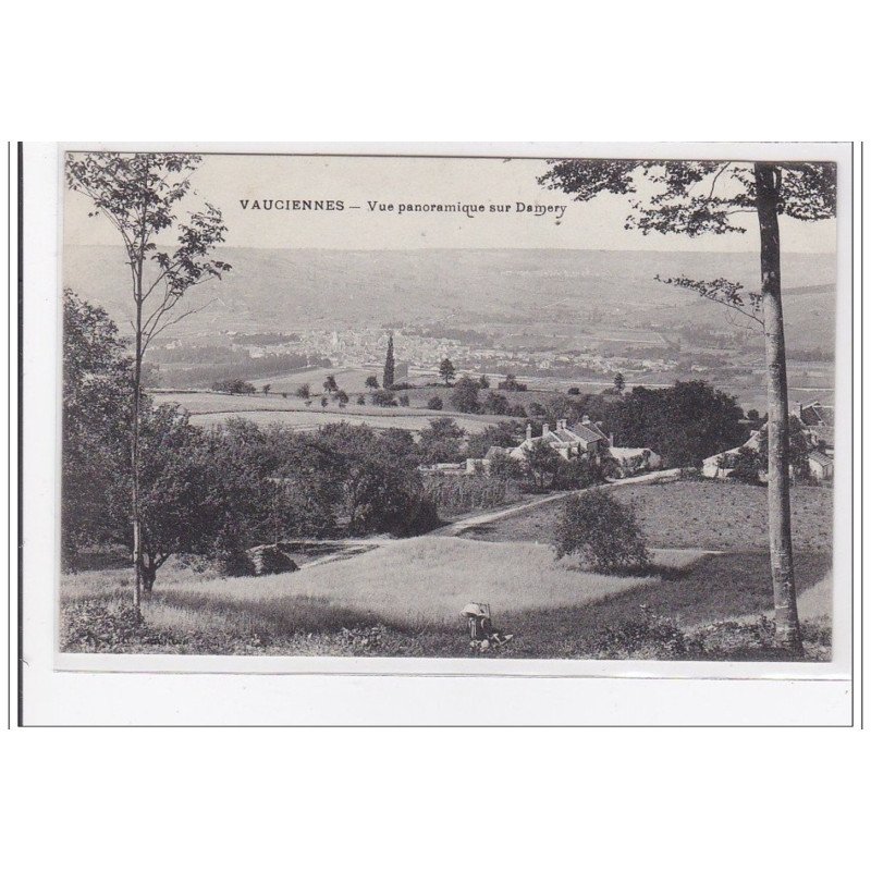 VAUCIENNES : vue panoramique sur damery - tres bon etat