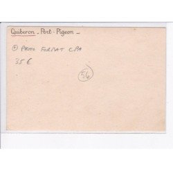 QUIBERON: port pigeon, photo format CPA - très bon état