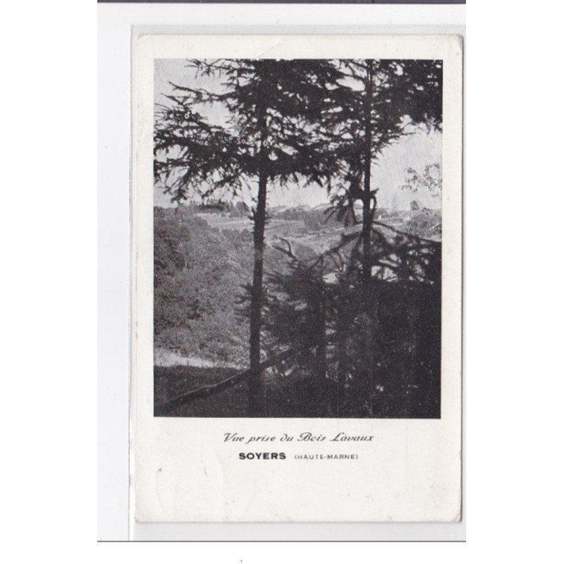 SOYERS : vue prise du bois lavaux - etat