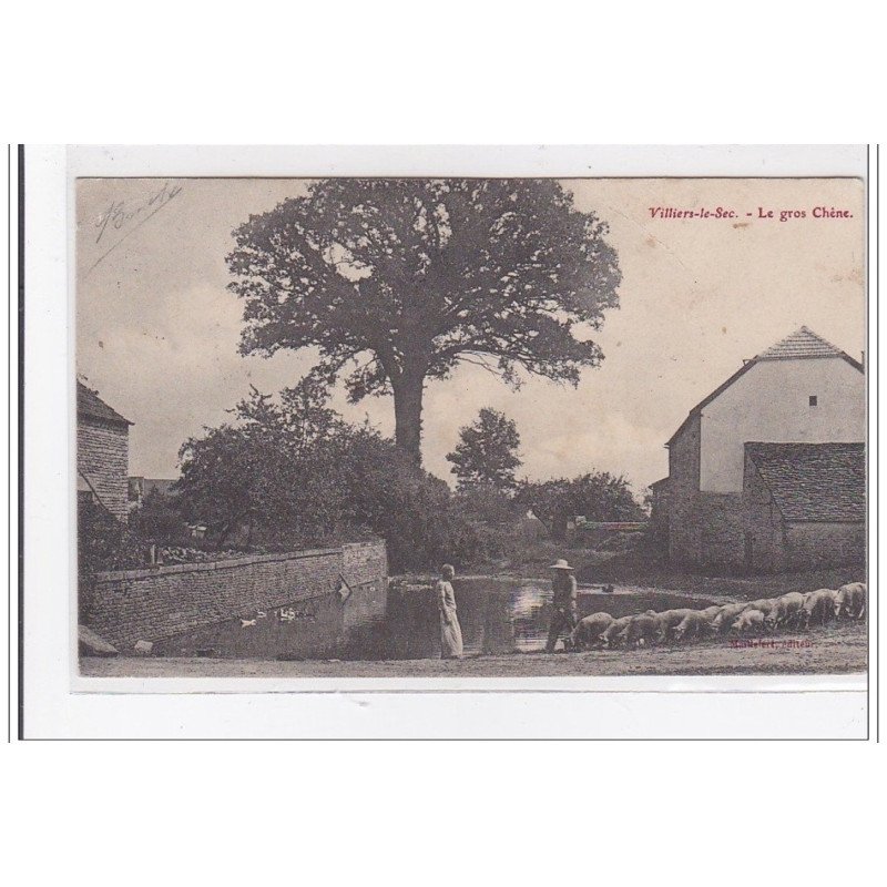 VILLIERS-le-SEC : le gros chene - tres bon etat