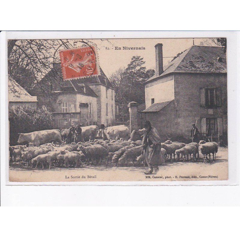 NIEVRE: la sortie du bétail, moutons, boeufs, vaches - très bon état