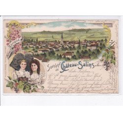 CHÂTEAU-SALINS: souvenir de château-salins - très bon état