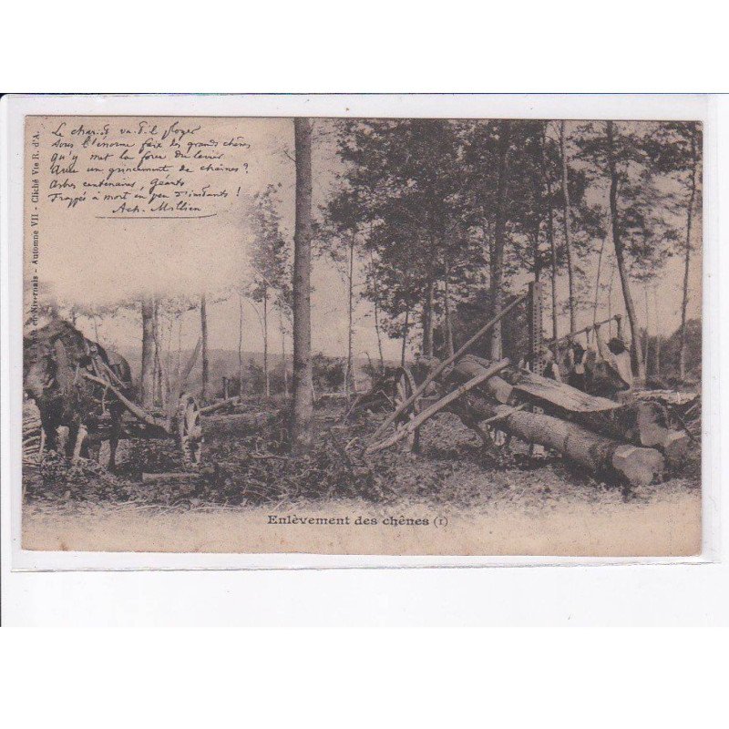 NIEVRE: enlèvement des chênes, bois - très bon état