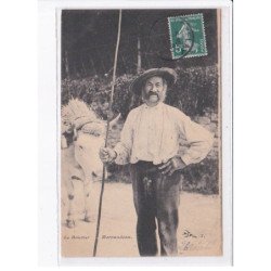 NIEVRE: le bouvier, boeuf - très bon état