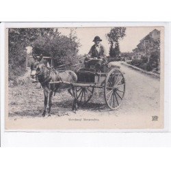 NIEVRE: marchand, attelage âne - très bon état