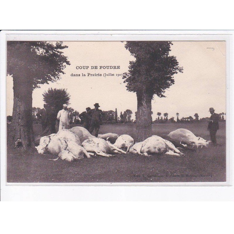 NIEVRE: coup de foudre dans la prairie juillet 1907, vaches décédées - état