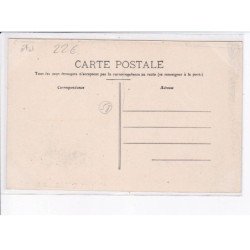 NIEVRE: coup de foudre dans la prairie juillet 1907, vaches décédées - état