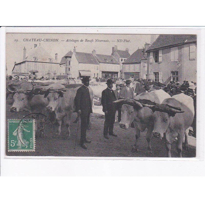 CHATEAU-CHINON: attelage de boeufs nivernais - très bon état