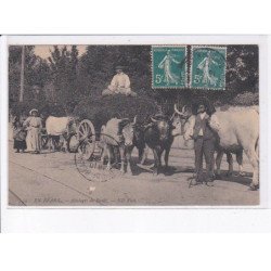 PYRENEES-ATLANTIQUES: en béarn, attelages de boeufs - état