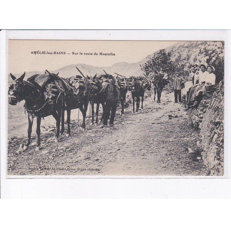 AMELIE-les-BAINS: sur la route de montalba - très bon état