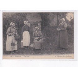 SARTHE: sarthoise - très bon état