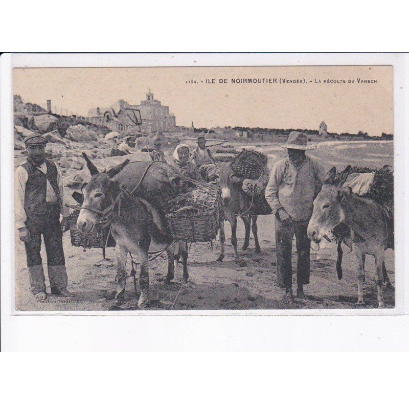 ILE DE NOIRMOUTIER: la récolte du varech - très bon état